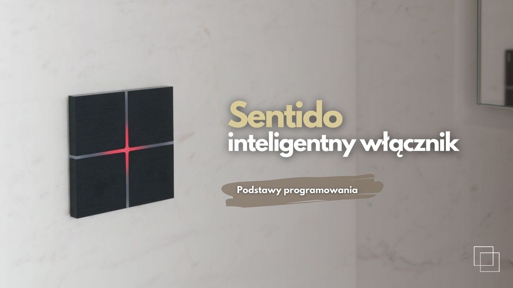 Sentido – podstawy programowania
